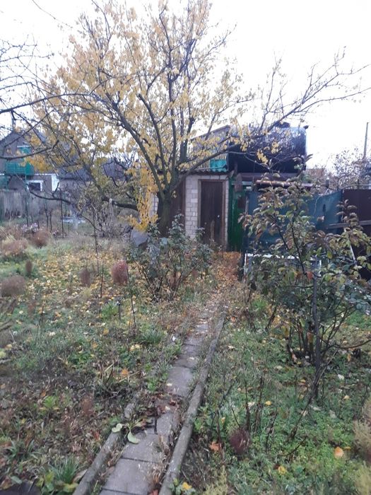 Продам дом,дача в Лупарево