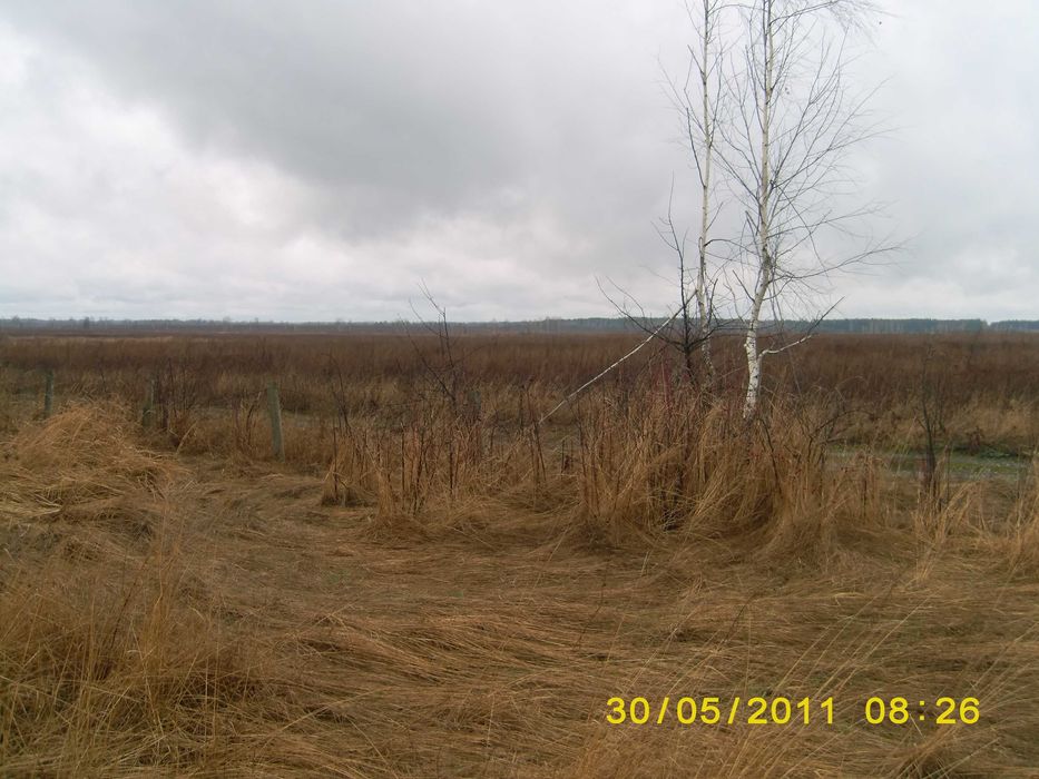 продається земельна ділянка 96 соток, киівська область.