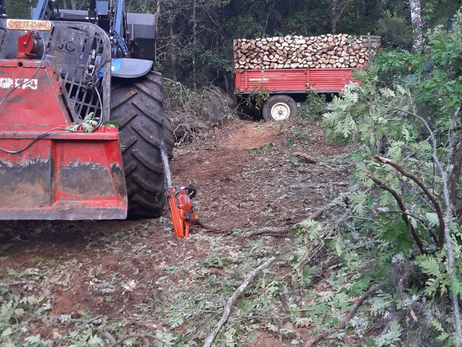 Vendo vario tipo de lenha