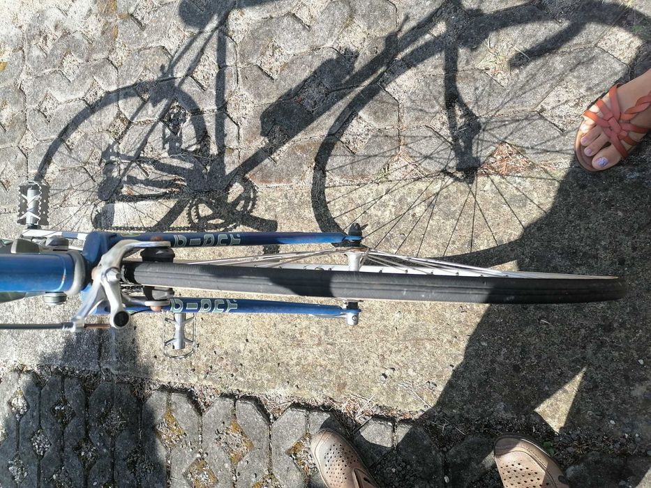 Kolarzowka Giant Giant