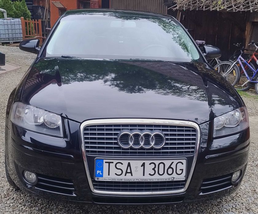 Audi A3 8P 1.6 MPI