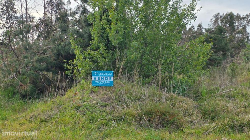 Terreno rústico de 7600m² de área, em Moita Marinha Grande