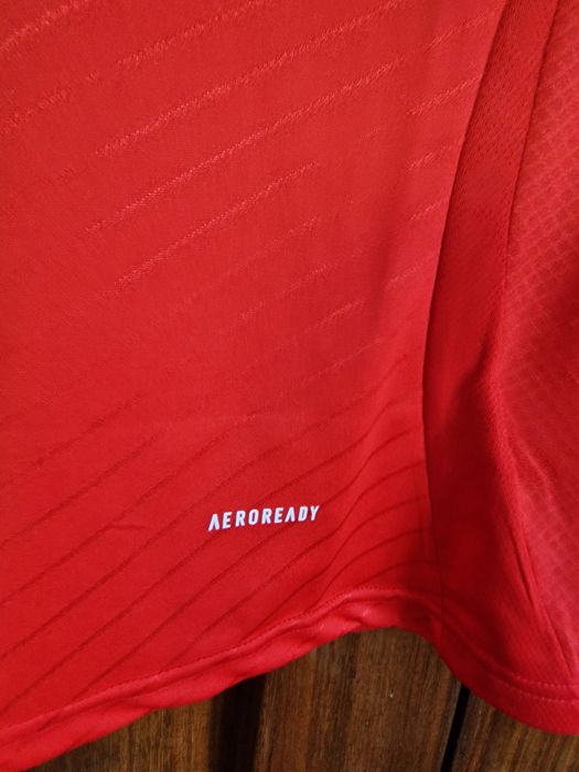 Camisola Benfica 24/25 CHAMPIONS Nova
