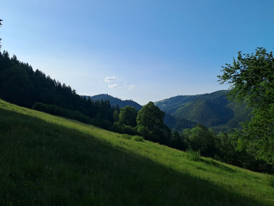 Відпочинок в Карпатах. Садиба Кичера.