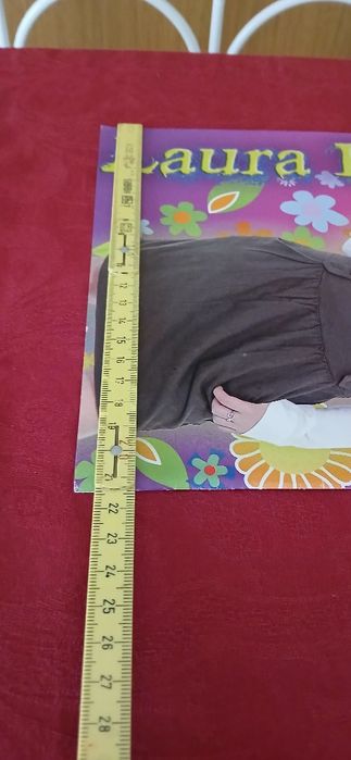 Poster Laura Esquivel, novo