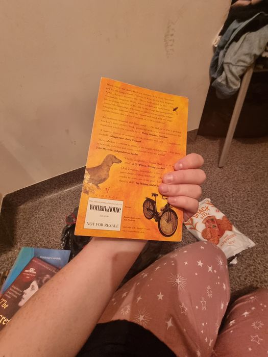 shena MacKay the orchard on fire