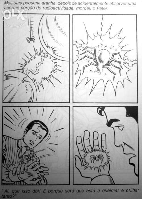 Homem-Aranha (Spider-Man) [o maior album do mundo 43cmx55cm]