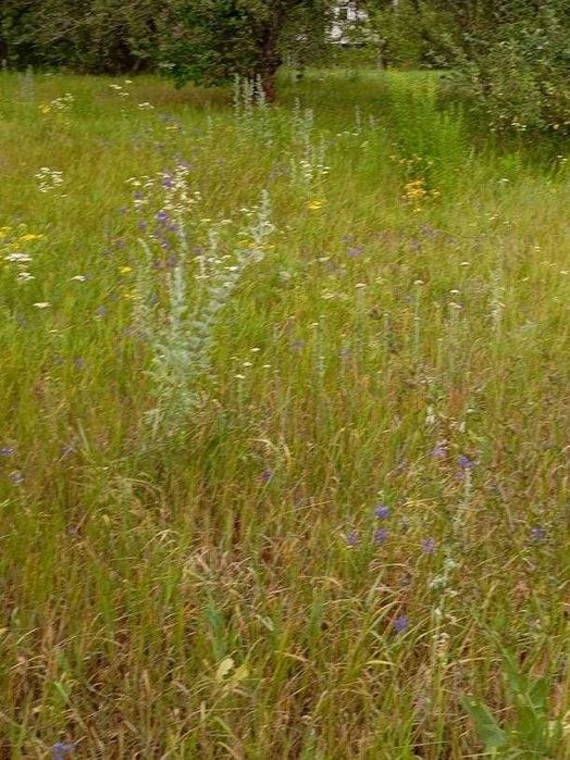 Продам рівний участок правильної форми