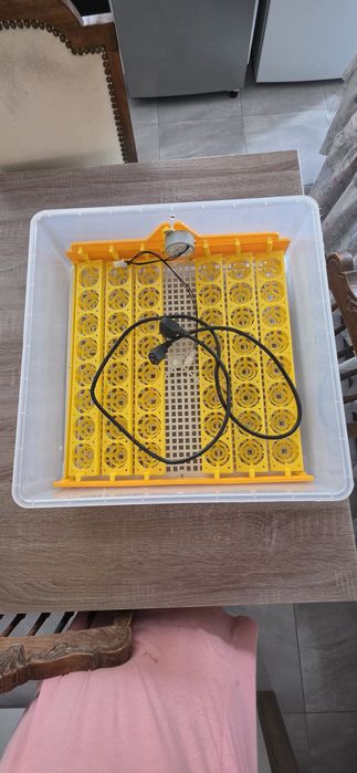 Chocadeira de ovos