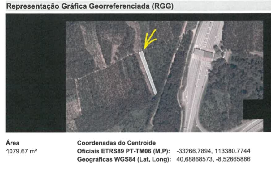 Terreno Pinhal e eucalipto