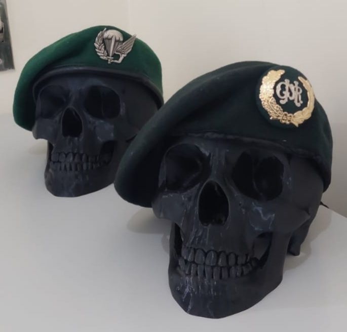 Caveira Decorativa Personalizada