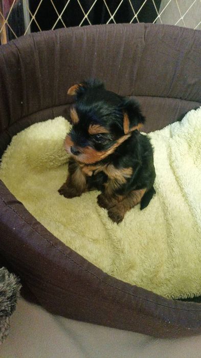 Мега классные детки