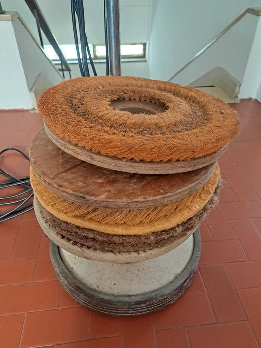 Enceradora Profisional