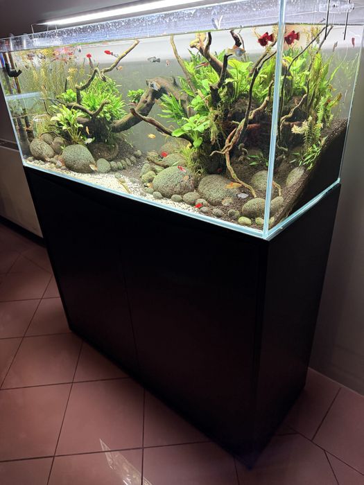 Aquario completo com tratamento de agua e iluminacao Led
