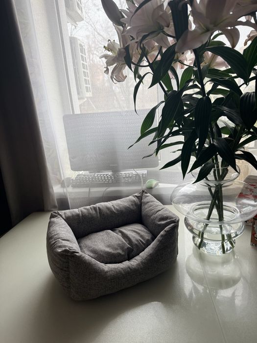 Лежак для котів і собак