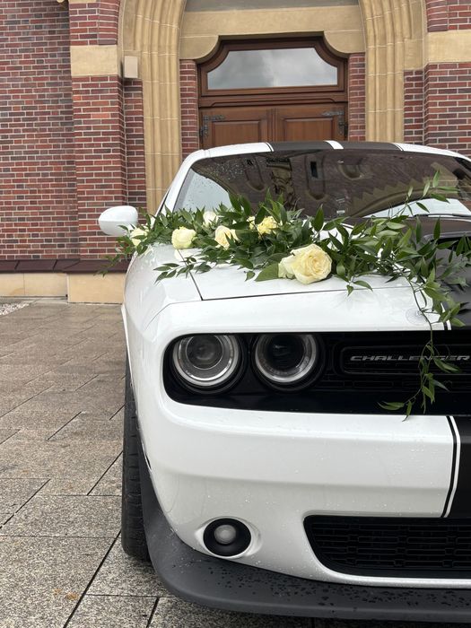 Samochód do ślubu/Auto na wynajem / Dodge Challenger