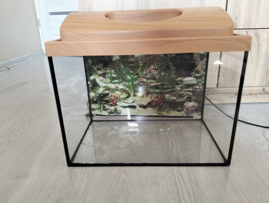 Akwarium+ pompka z filtrem