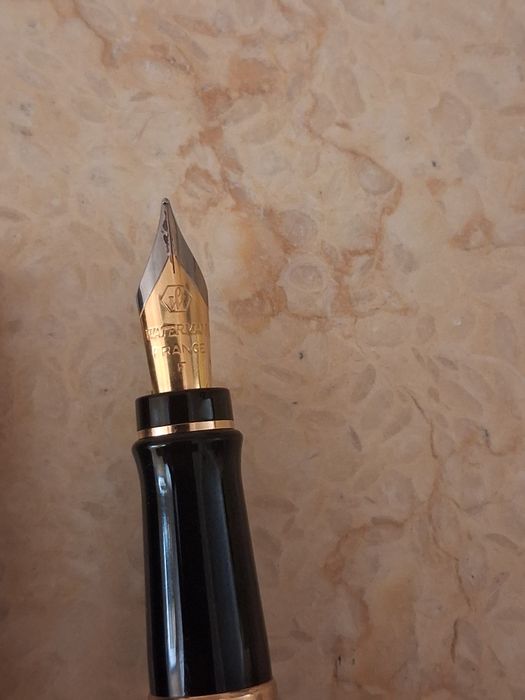 Caneta tinteiro Waterman Expert