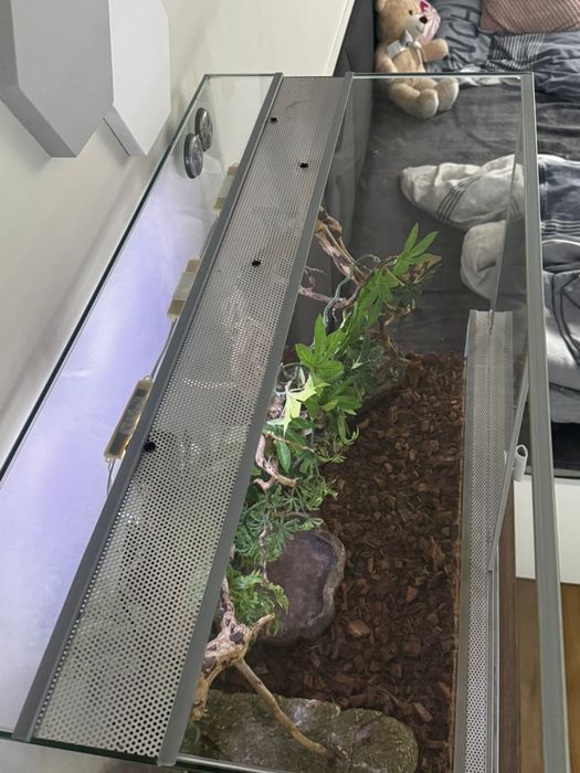 Terrarium 80x50x40 z wyposażeniem