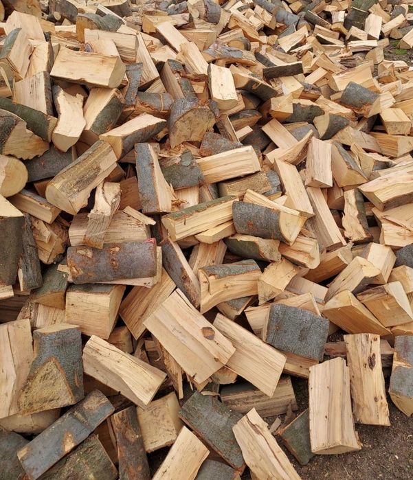 drewno opalowe sprzedam suche drzewo