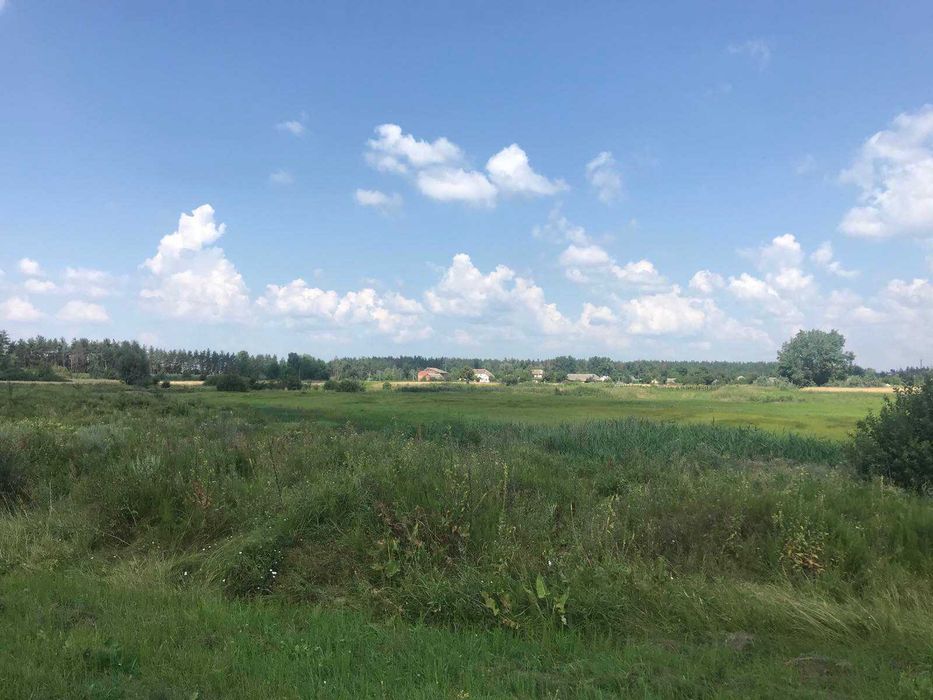 Продається земельна ділянка в с. Будище