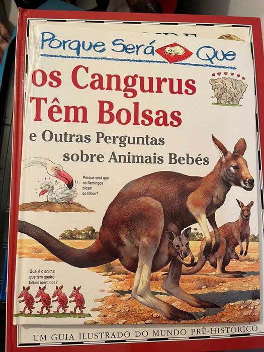 Porque será que os cangurus têm bolsas e perguntas sobre animais bebés