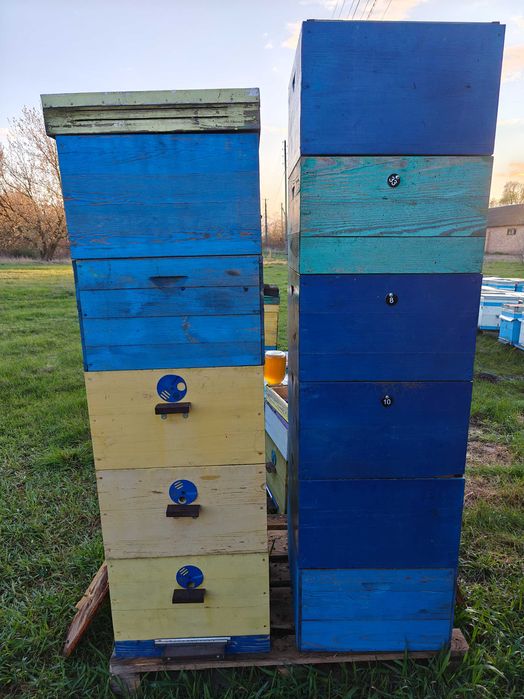Продам вулики дадан,улики для пчел.Суш,рамка на  145
