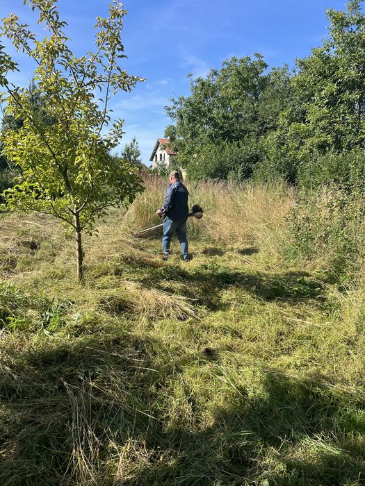 Чистка ділянок зрізання дерев косіння трави демонтаж
