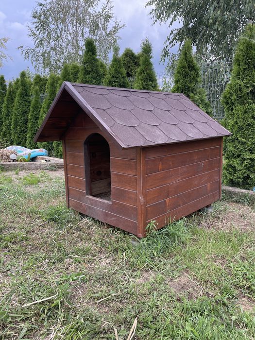 Buda dla duzego psa