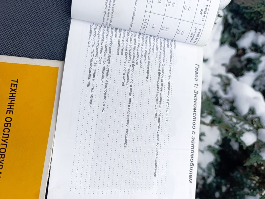 Сервисная книжка Рено