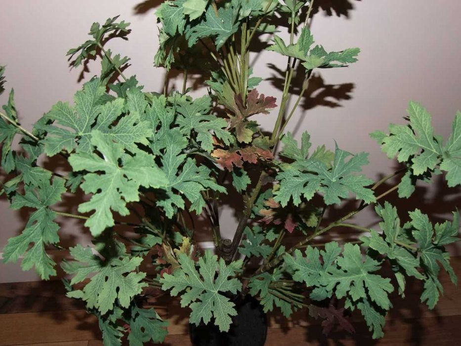 Sztuczna roślinka-cytrynka w doniczce wysokość 87 cm