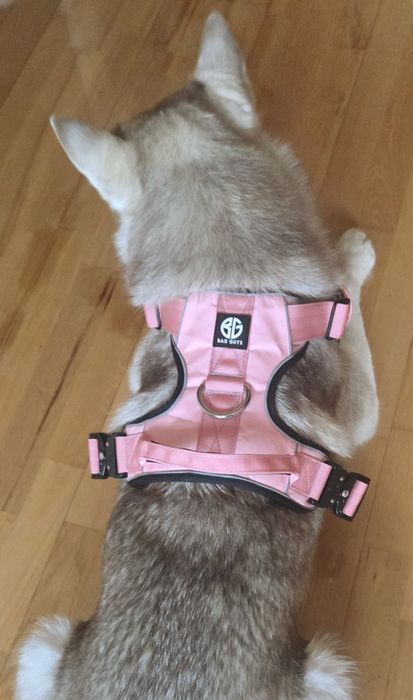 Szelki dla psa Crime Harness L