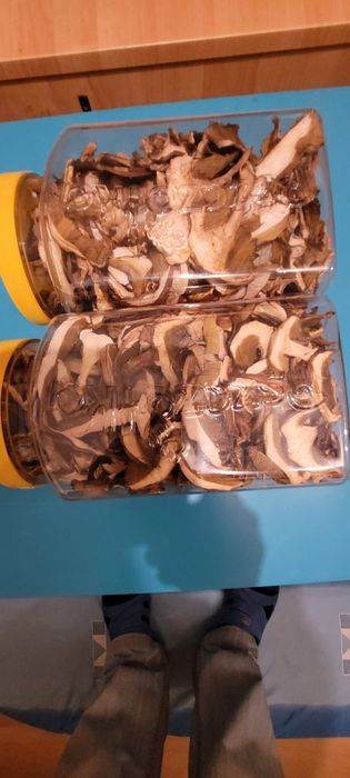 Grzyby suszone 2025r.