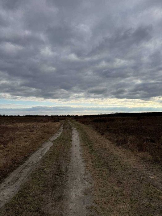 Земельна ділянка в с. Количівка