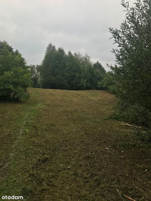 Działka budowlana nad jeziorem Żywieckim