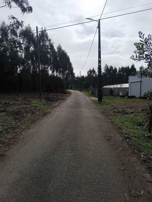 Terreno em Quiaios - Figueira da Foz
