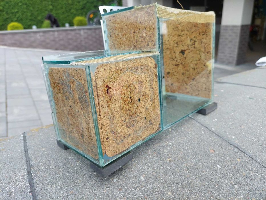 Terrarium dla pająka