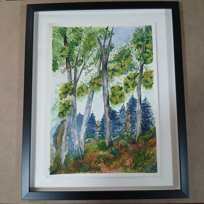 Aguarelas de pintor contemporâneo ( 6 )