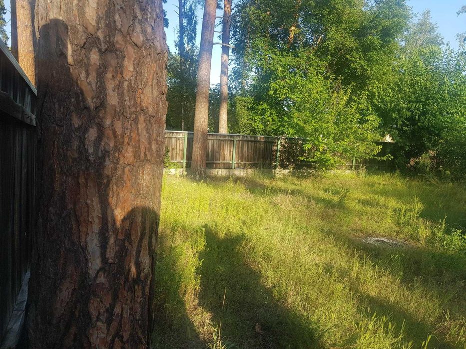 Супер ділянка в Лісовій Бучі