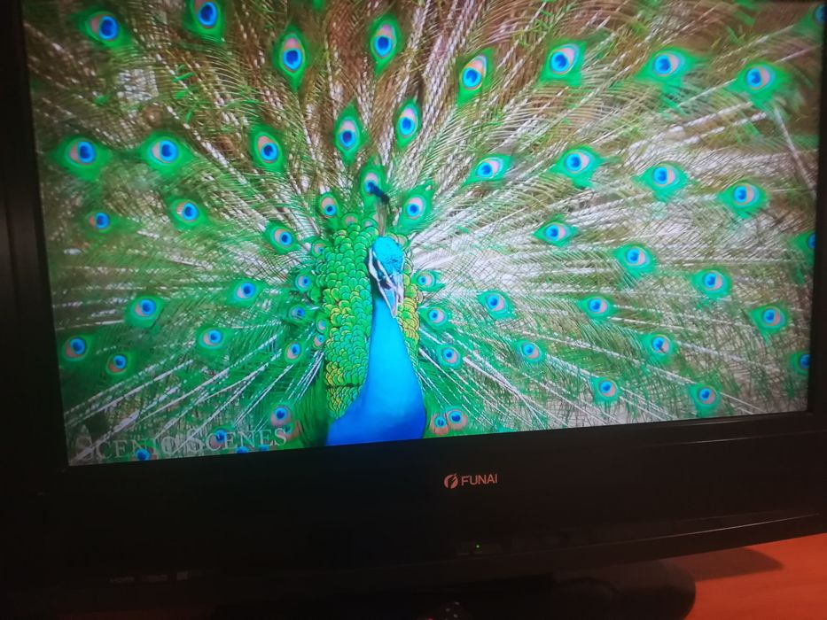 Smart Box X96Q +Funai TV