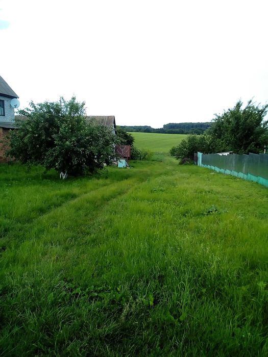 Будинок  Будинок