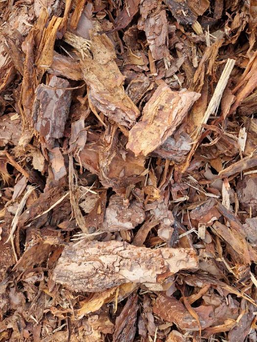 Kora sosnowa w workach 80l DETAL / HURT Łódź TRANSPORT