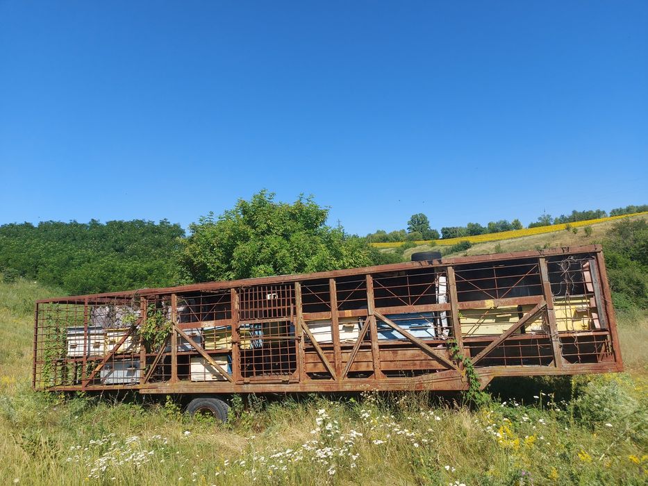 Причіп для бджіл, довжина 12м