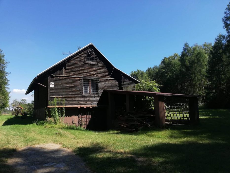 Dom w lesie caloroczny- Woźniki, Śliwa woj. Śląskie