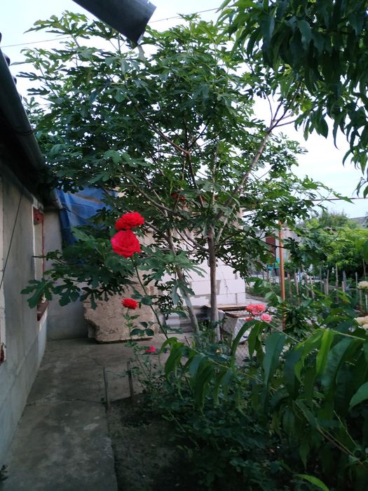 Обменяю дом на двухкомнатную квартиру