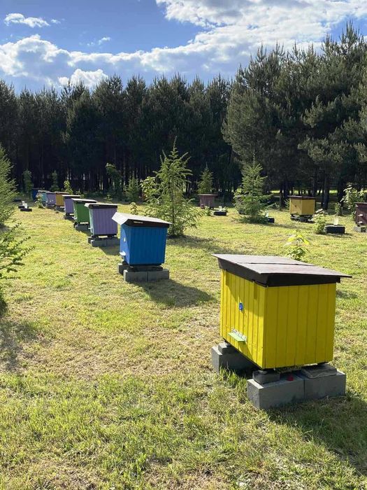 Продаж ділянки з озером с.Синьковичі, Жовківський район