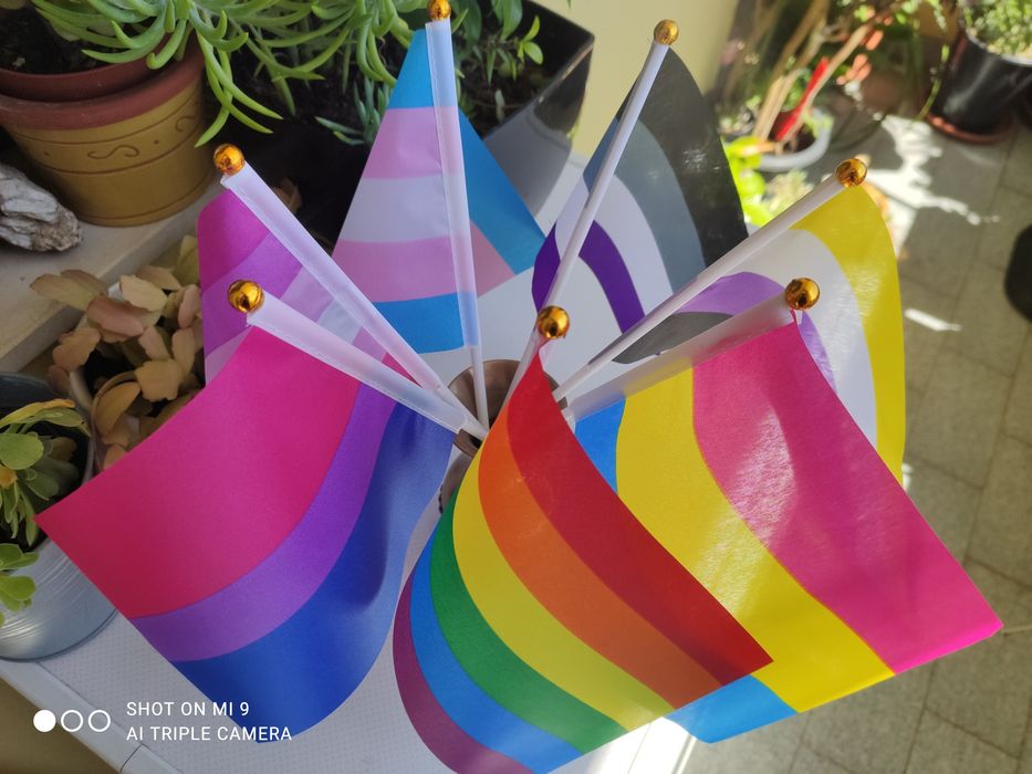 Bandeirinhas LGBT várias