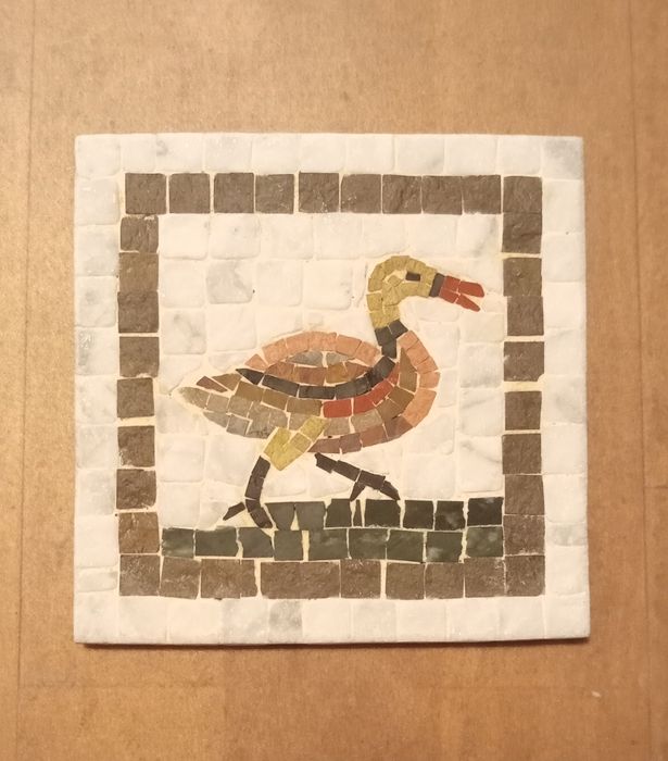 Azulejo típico Tunísia