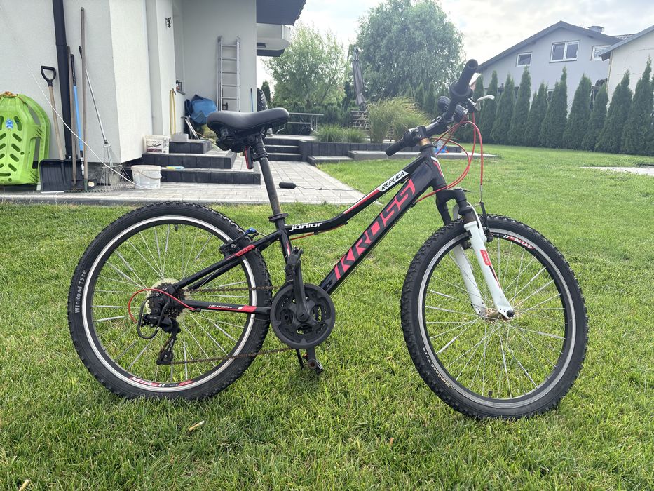 Rower Kross Hexagon 24”