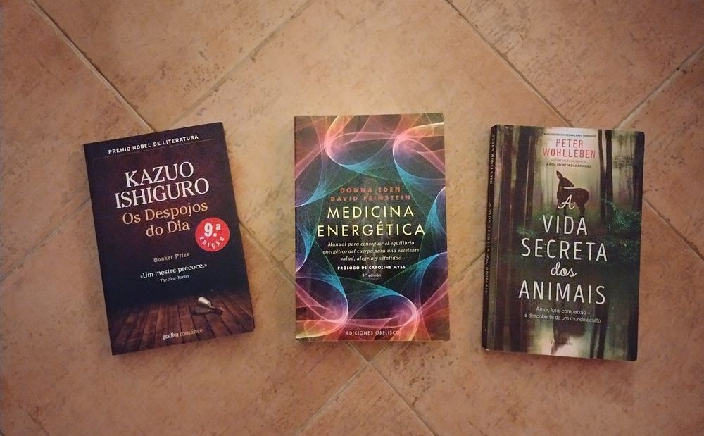 Livros Tarot, Xamanismo, Astrologia, Reiki, medicina energética, etc.